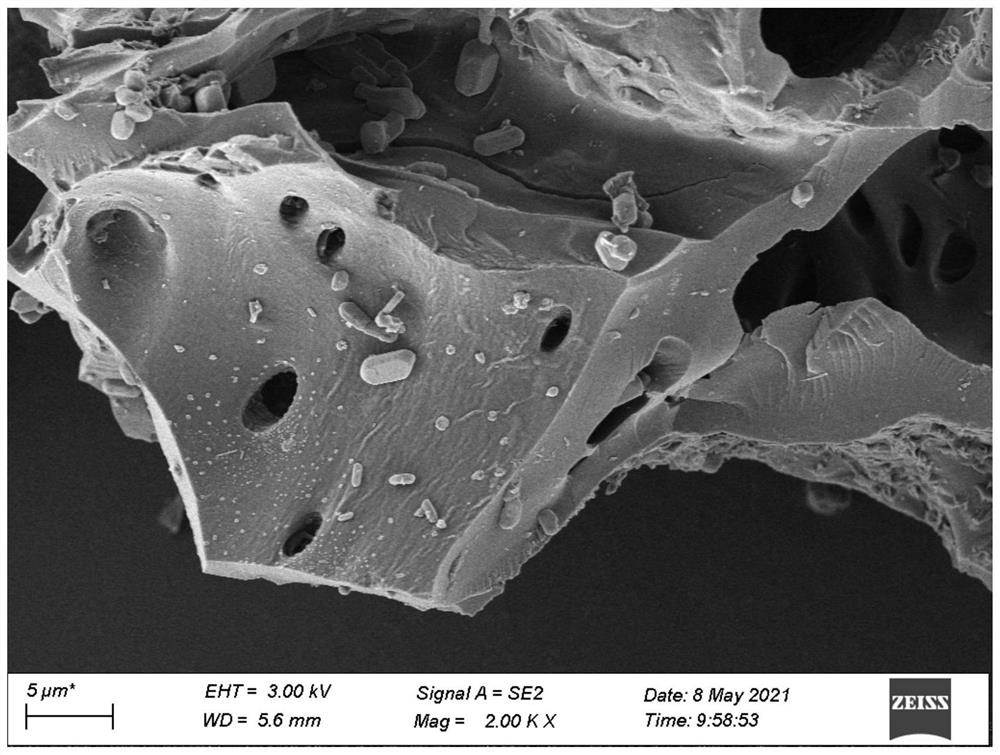 Preparation method and application of tea seed shell biochar