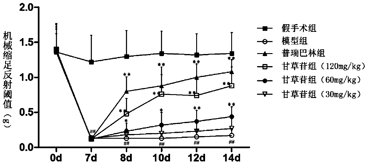 Pharmaceutical use of liquiritin in the treatment of neuropathic pain