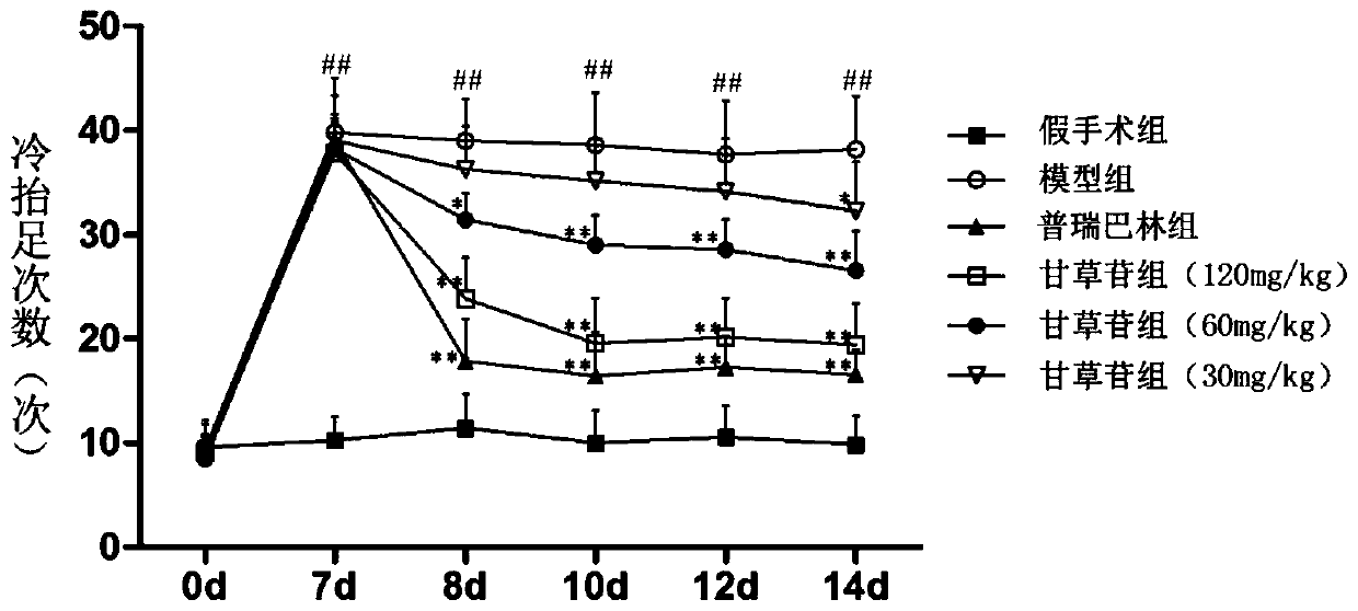 Pharmaceutical use of liquiritin in the treatment of neuropathic pain