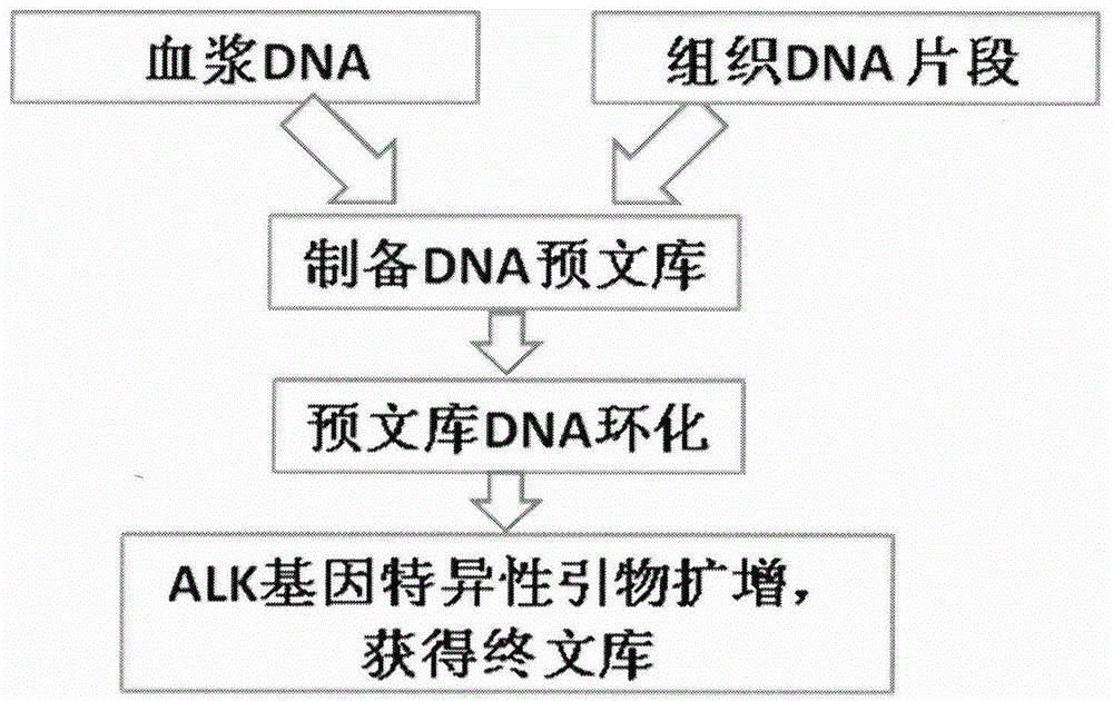 Method and kit for building ALK gene fusion mutation detection library