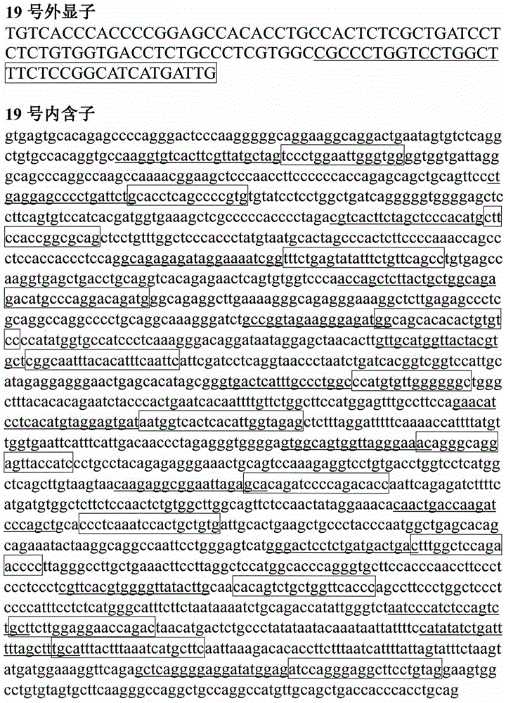 Method and kit for building ALK gene fusion mutation detection library