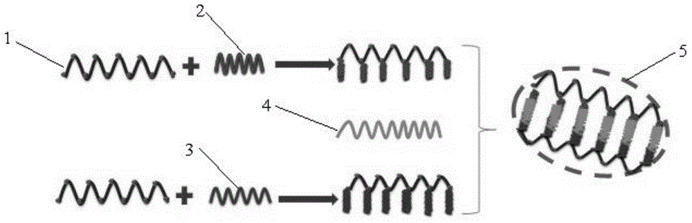 Hydrogel based on aptamer linking and preparation method and application thereof