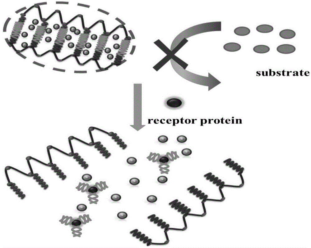 Hydrogel based on aptamer linking and preparation method and application thereof