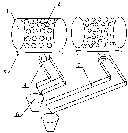 Mushroom classifying and conveying integrated device