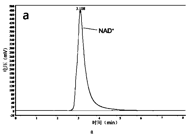 A method for measuring the activity of ribosome inactivating protein