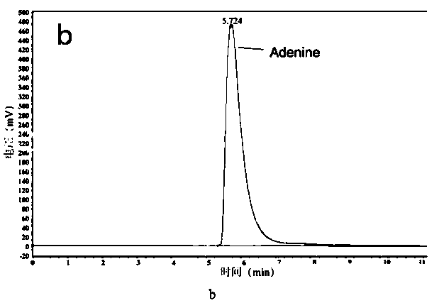 A method for measuring the activity of ribosome inactivating protein