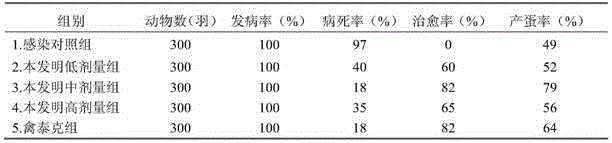 Traditional Chinese medicine oral liquid for treating avian influenza and preparation method thereof