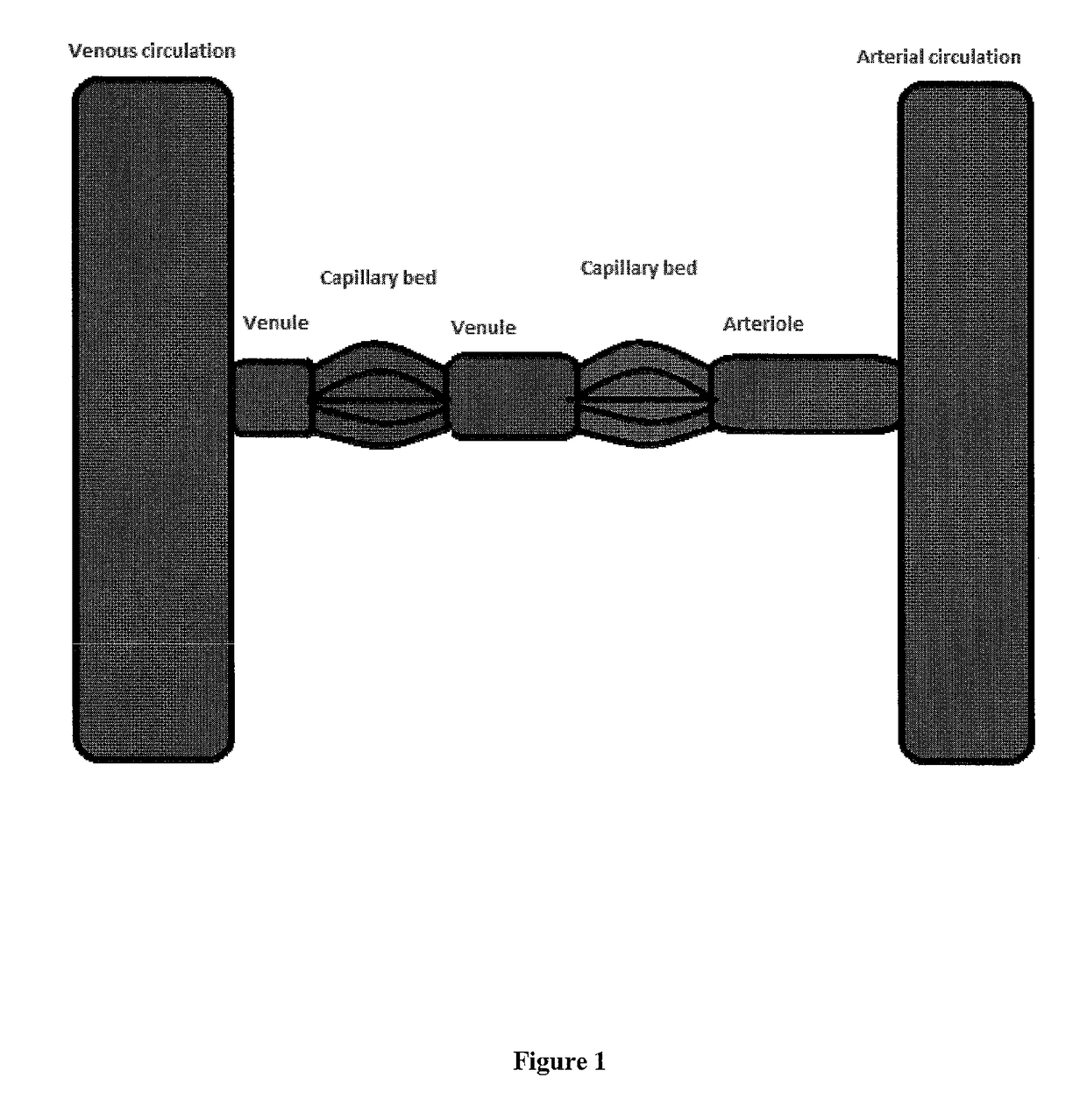 Venous access catheters and methods for portal venous system catheterization