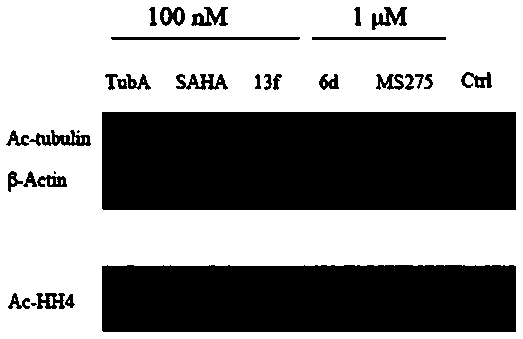 HDAC and VEGFR dual-target inhibitor based on pazopanib structure and its preparation method and application