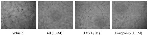 HDAC and VEGFR dual-target inhibitor based on pazopanib structure and its preparation method and application