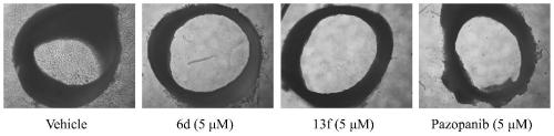 HDAC and VEGFR dual-target inhibitor based on pazopanib structure and its preparation method and application