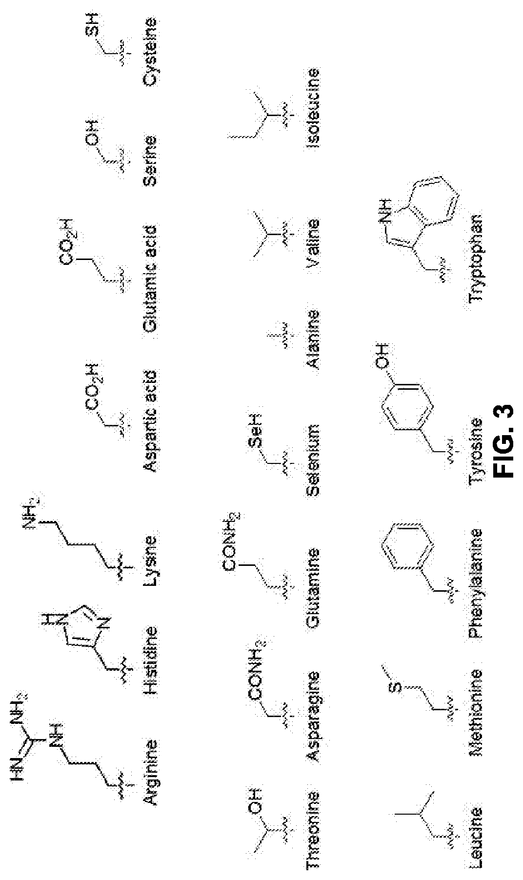 Bivalent Nucleic Acid Ligands and Uses Therefor