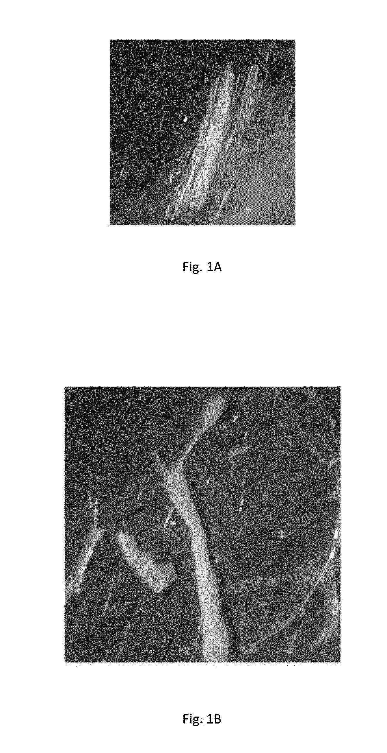 3-mode blended fibers in an engineered cementitious composite