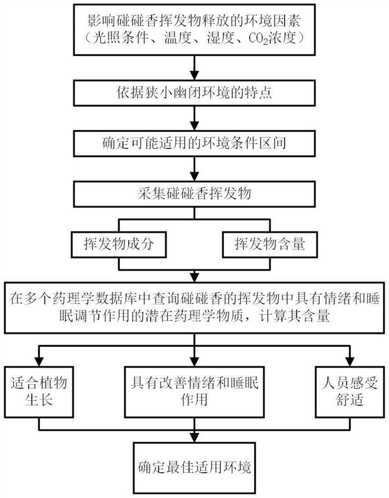Method for constructing and controlling biophilic environment for improving emotion and sleep by using pelargonium odoratissimum plant