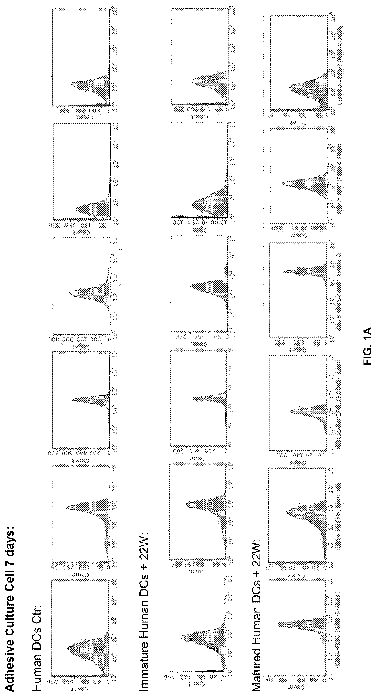 Dead antigen stimulated immature heterogenous dendritic cells as therapeutics for diseases