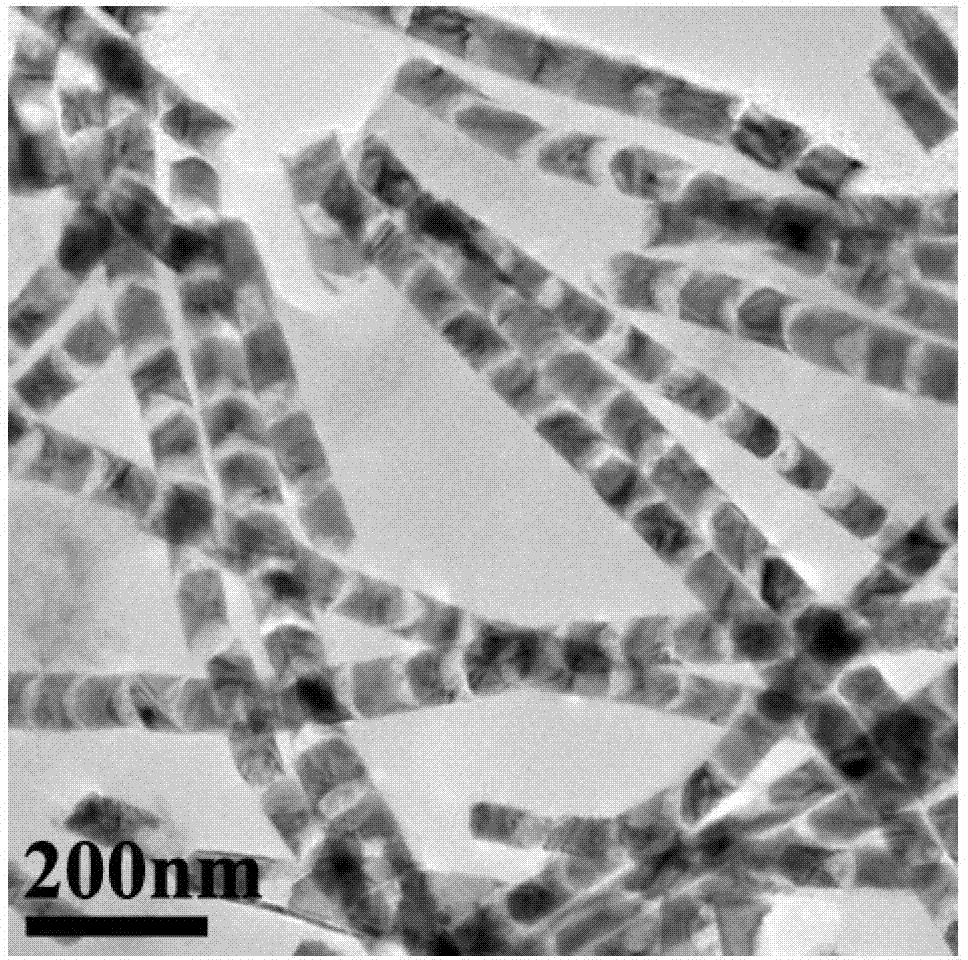 Nano chain composed by metallic nickel particles connected by copper oxide fimls and preparation method thereof