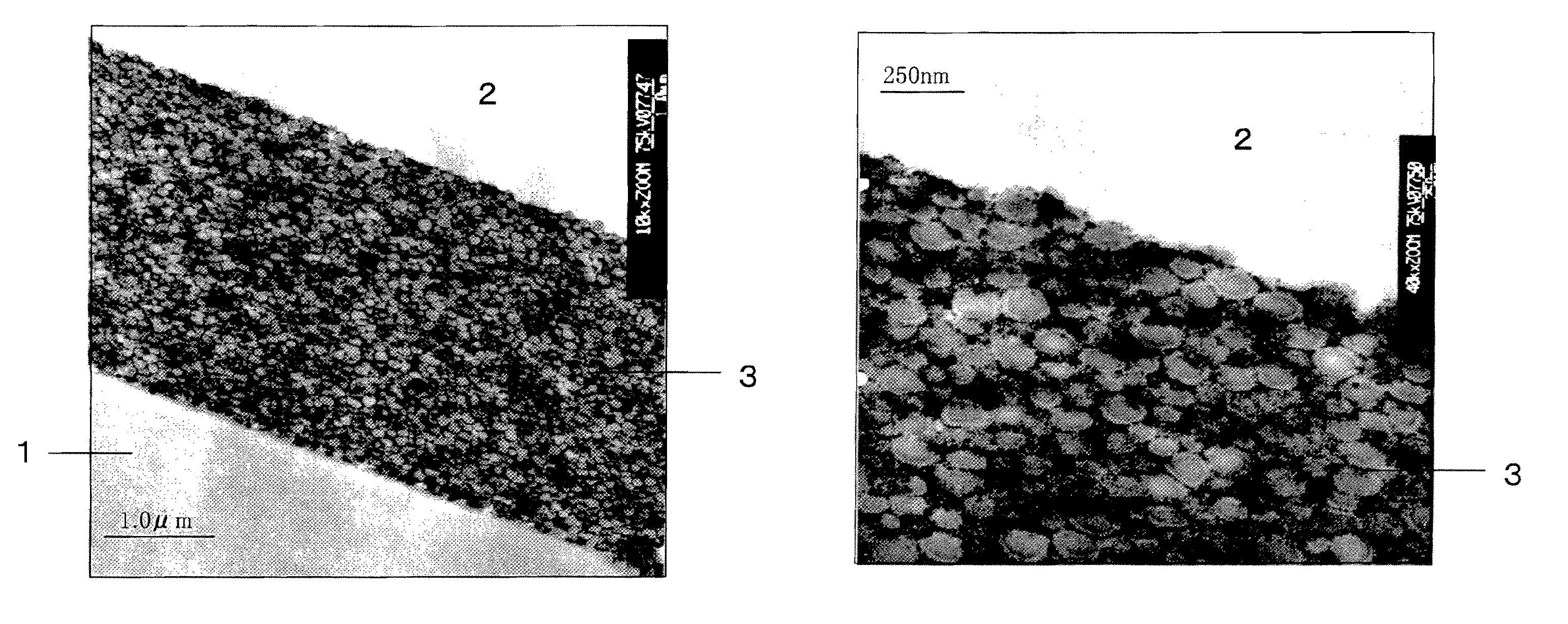 Aqueous organic-inorganic hybrid composition