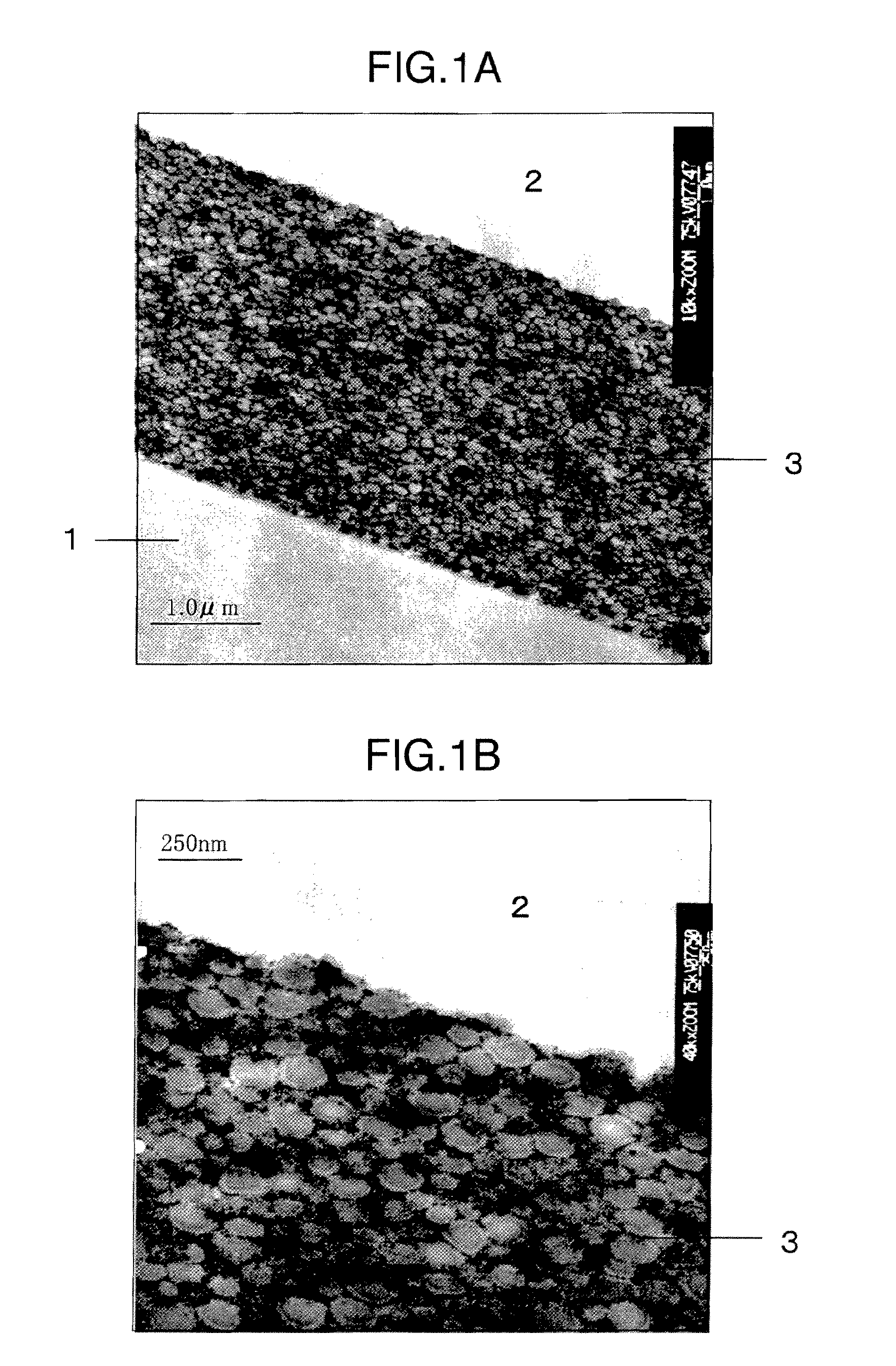 Aqueous organic-inorganic hybrid composition