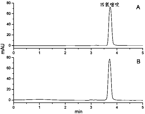 A kind of high-efficiency liquid phase detection and content determination method of ectoine