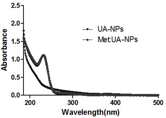 A kind of metformin/ursolic acid nano oral preparation and preparation method thereof