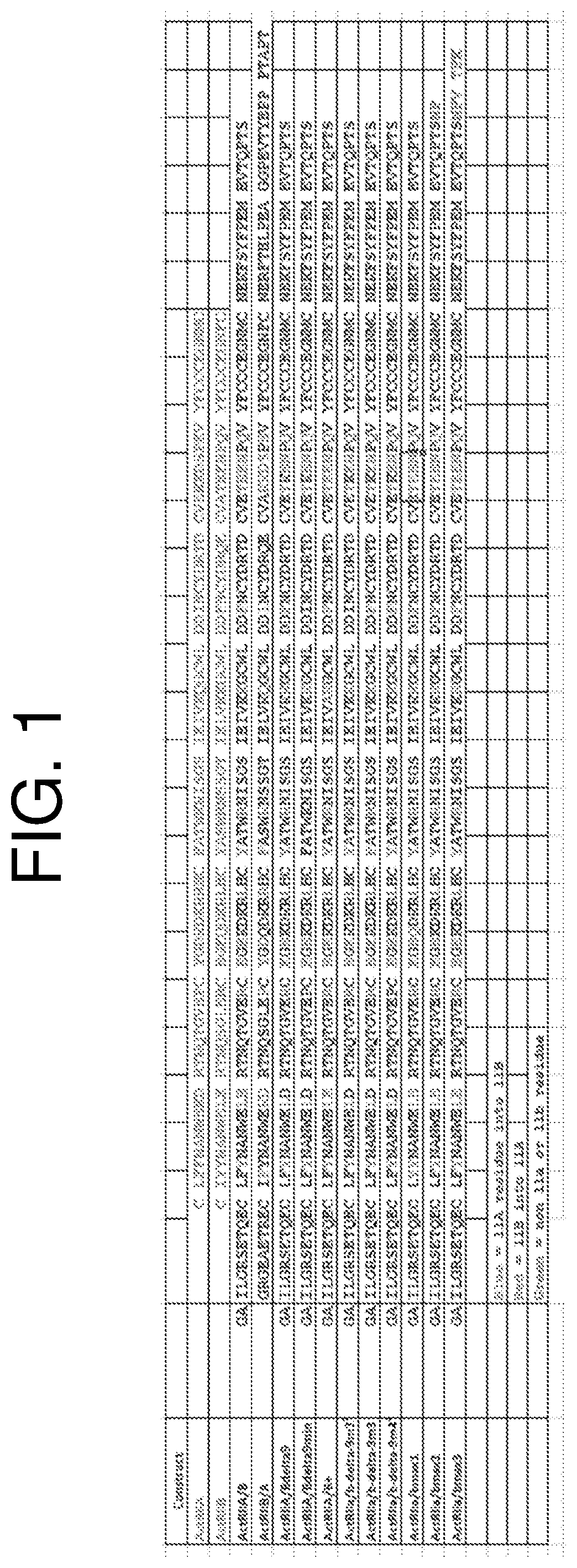 Activin receptor type iia variants and methods of use thereof