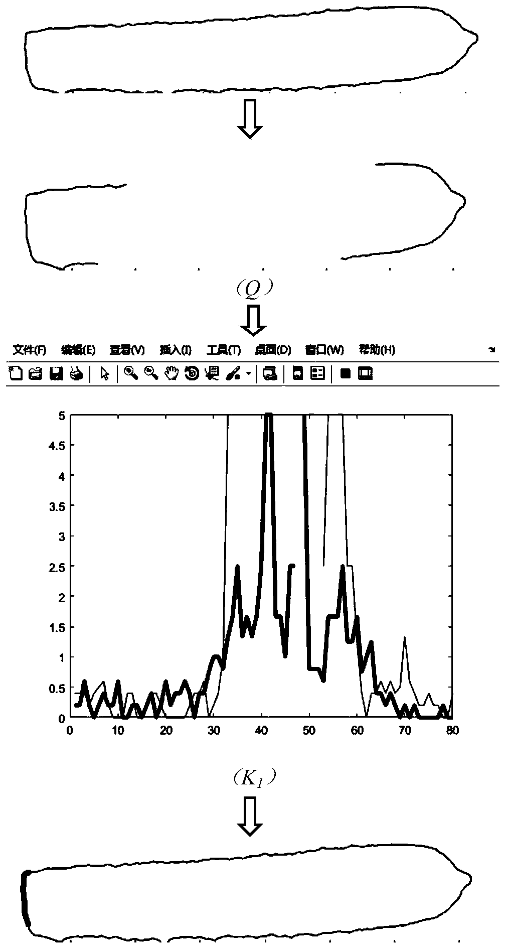 Machine vision-based carrot surface defect identification and quantification method