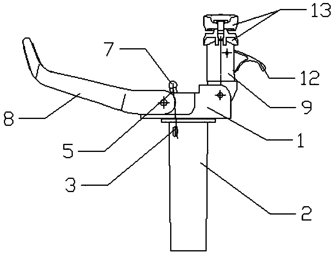 Marine fishing rod fixing device