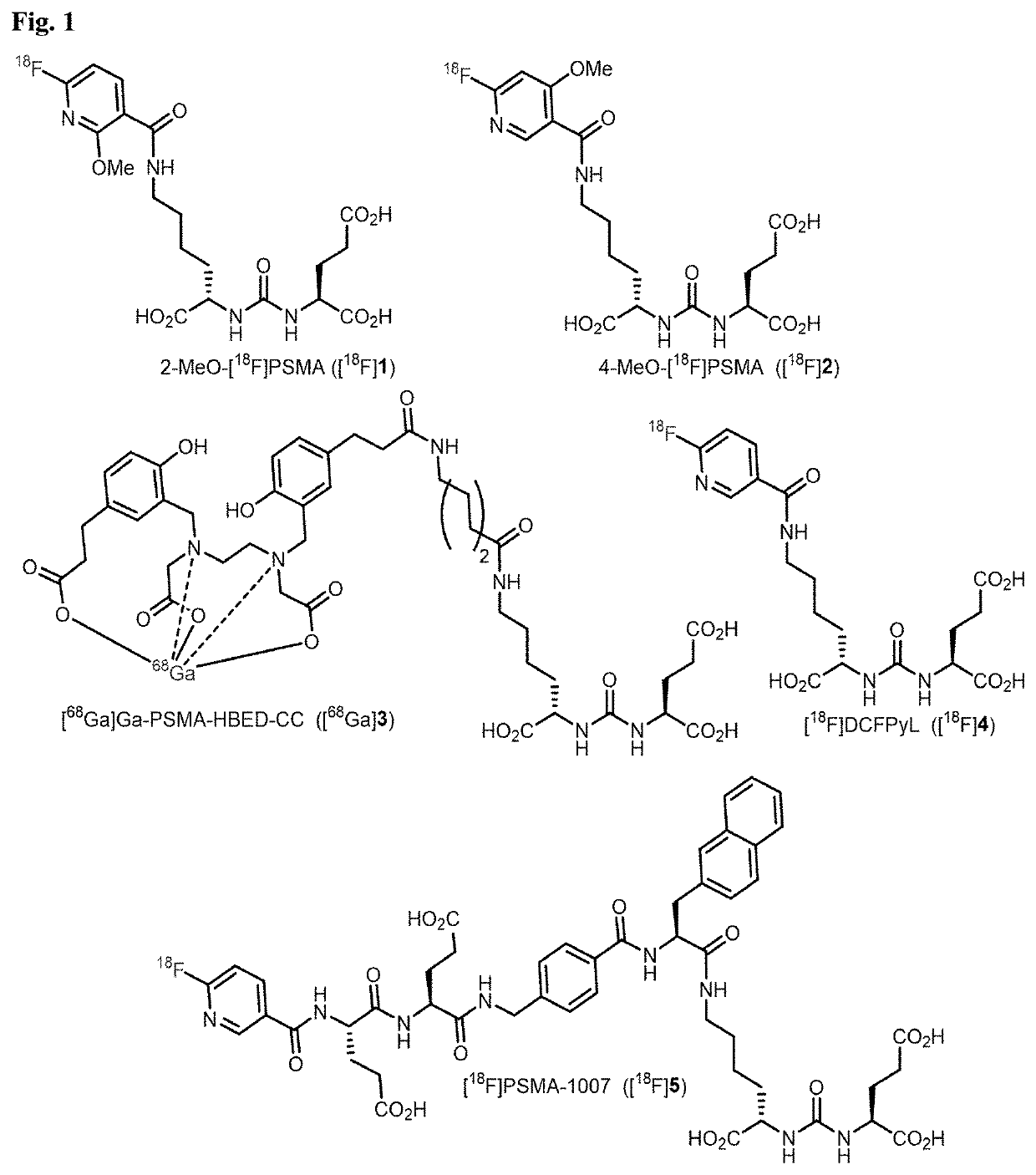 2-Alkoxy-6-[18F]fluoronicotinoyl substituted Lys-C(O)-Glu derivatives as efficient probes for imaging of PSMA expressing tissues