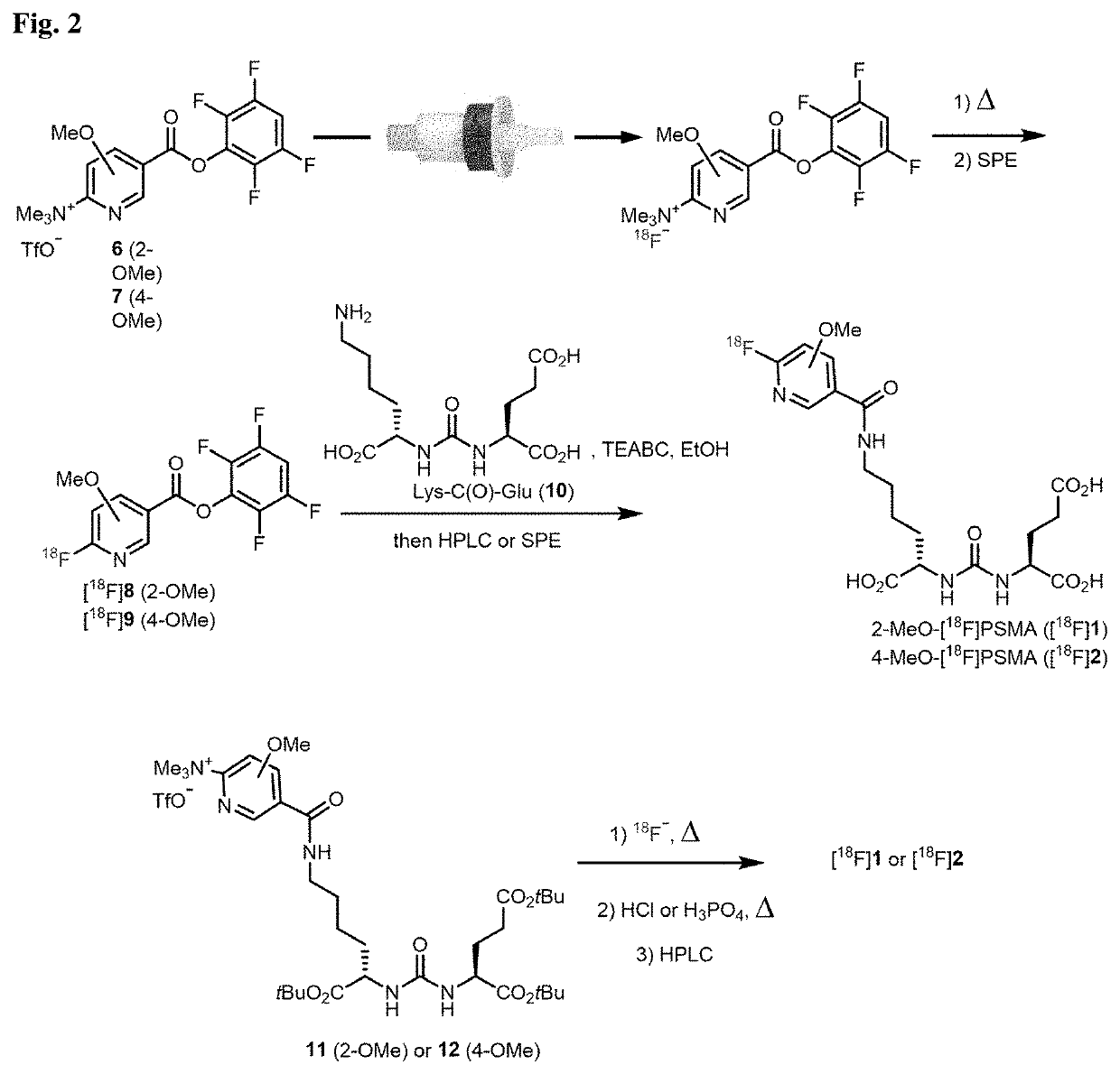 2-Alkoxy-6-[18F]fluoronicotinoyl substituted Lys-C(O)-Glu derivatives as efficient probes for imaging of PSMA expressing tissues