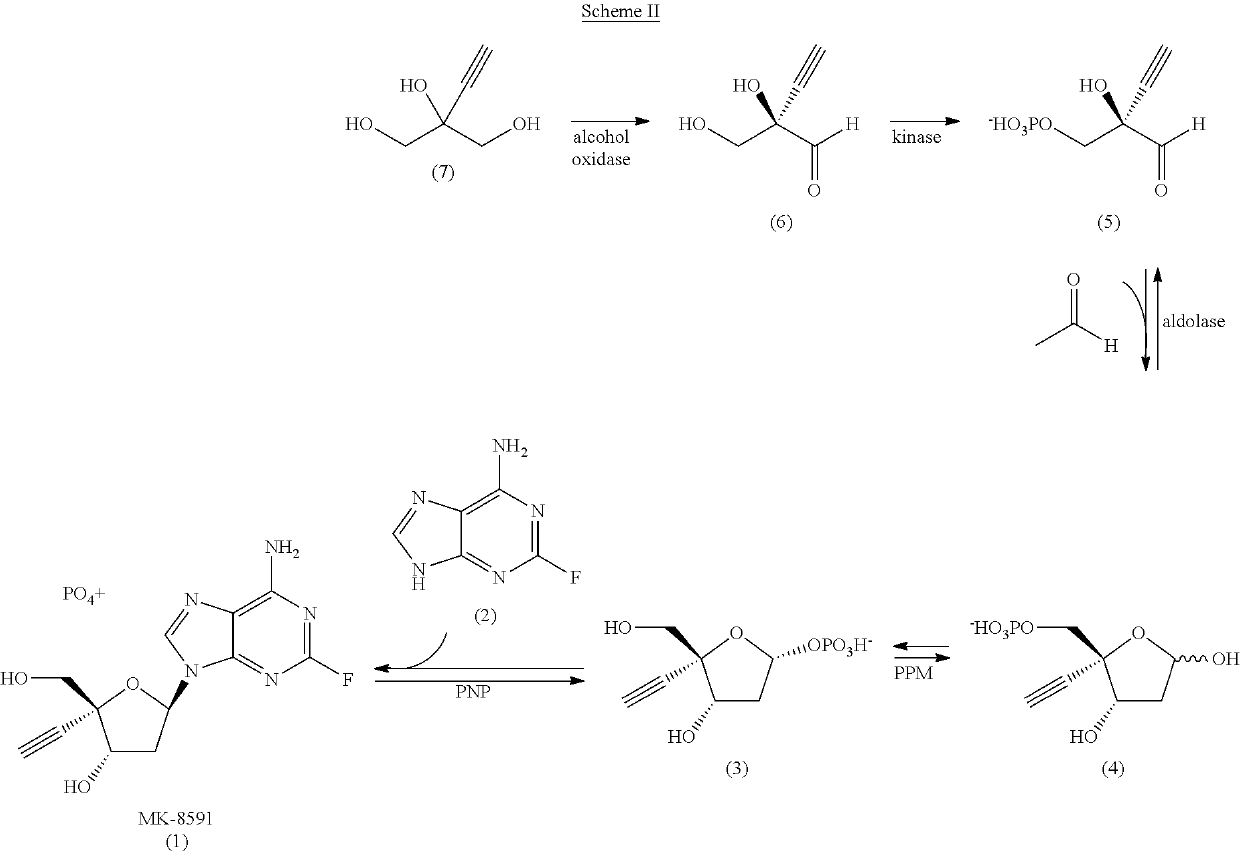 Engineered purine nucleoside phosphorylase variant enzymes