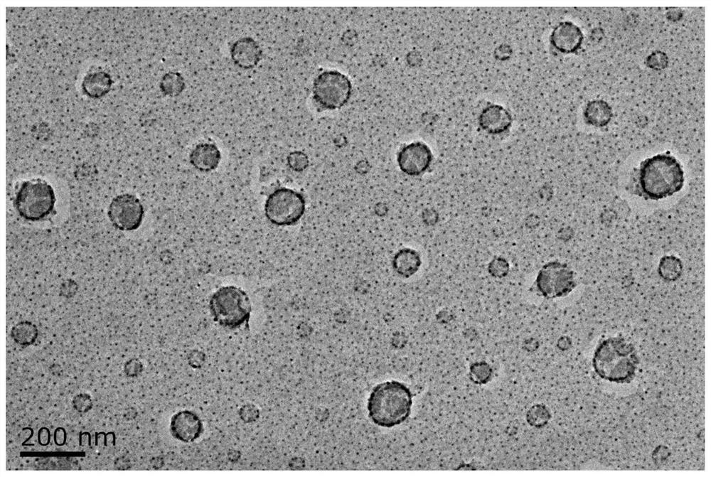 Artemisinin-encapsulated heme nanometer vesicle, preparation method and purpose