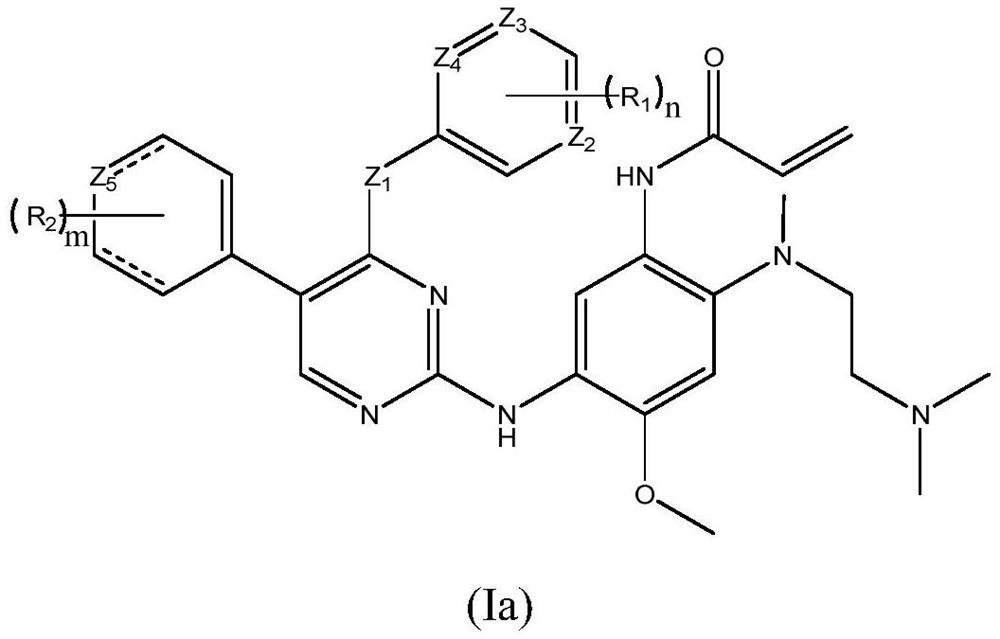 EGFR tyrosine kinase inhibitor and application thereof