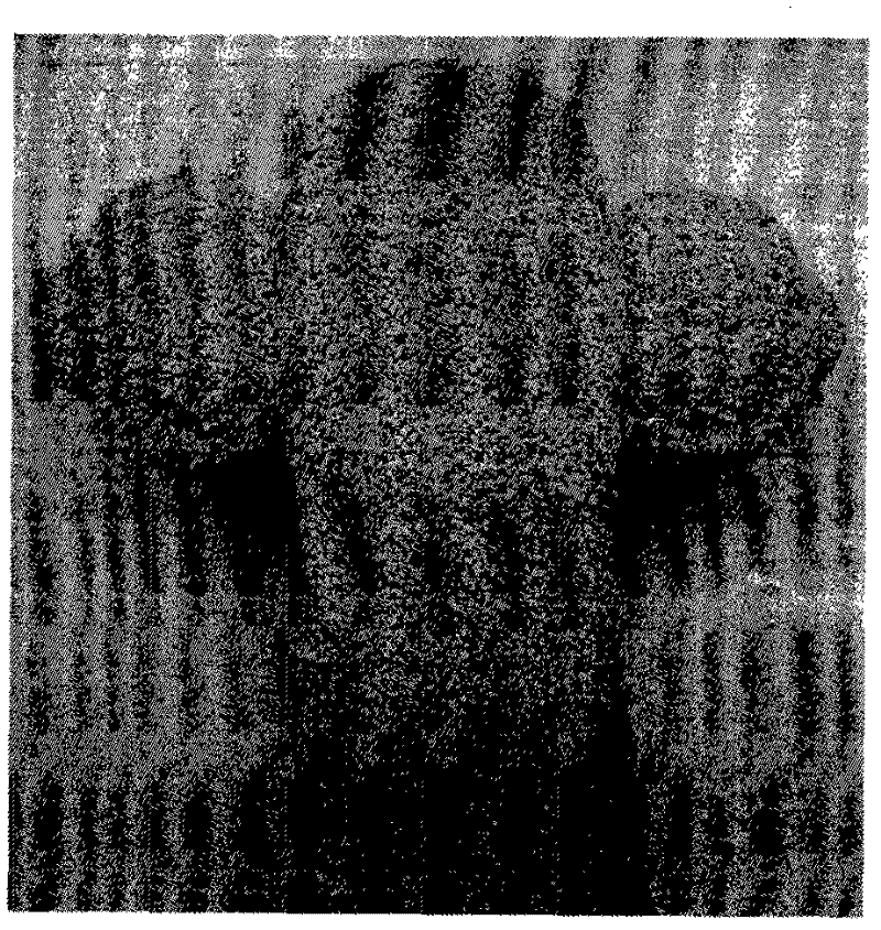 Method for preparing high-air permeability and high-strength ceramic shell mold for anti-gravity casting