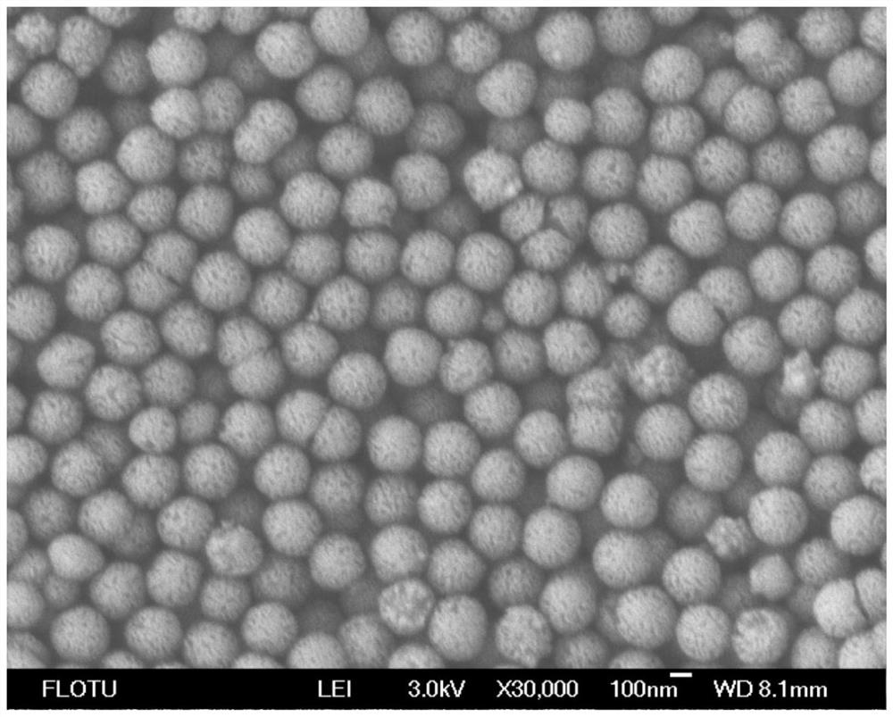 Mesoporous silicon nano material, preparation method and application thereof