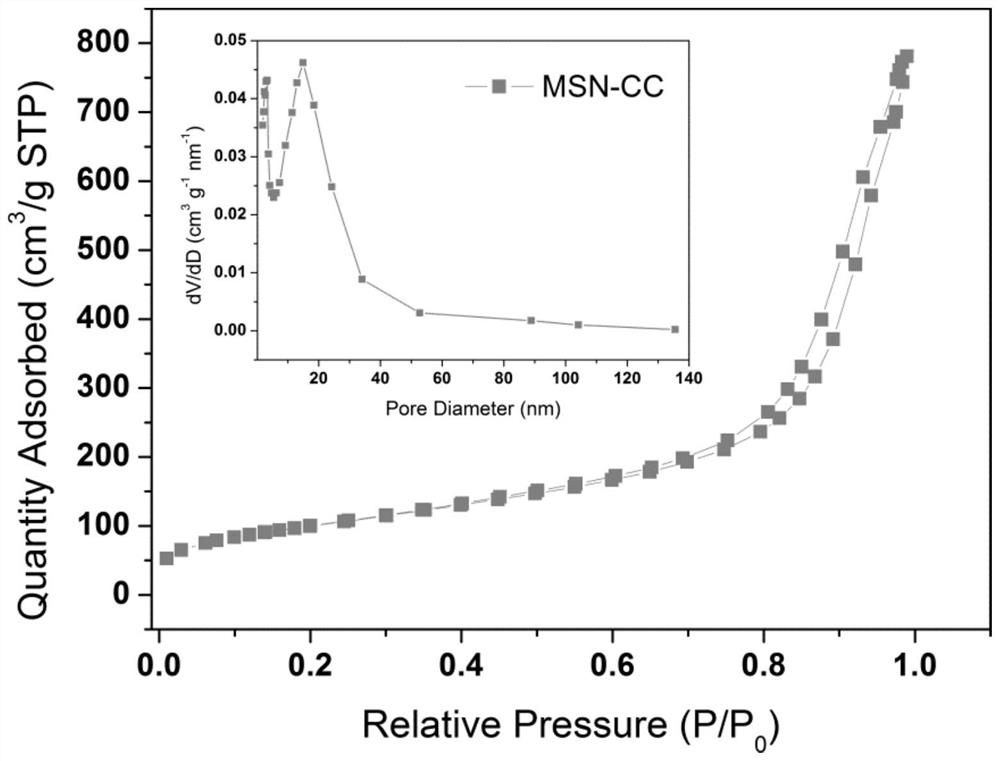 Mesoporous silicon nano material, preparation method and application thereof