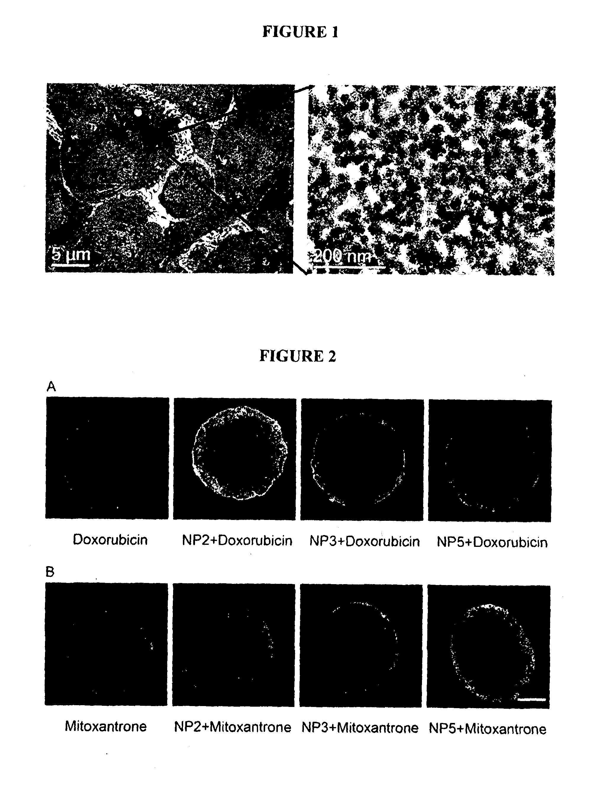 Method for the Treatment of a Solid Tumour