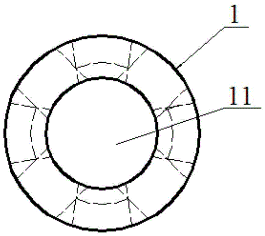 Rat Tail Intervertebral Disc Minimally Invasive Puncture Injection Device