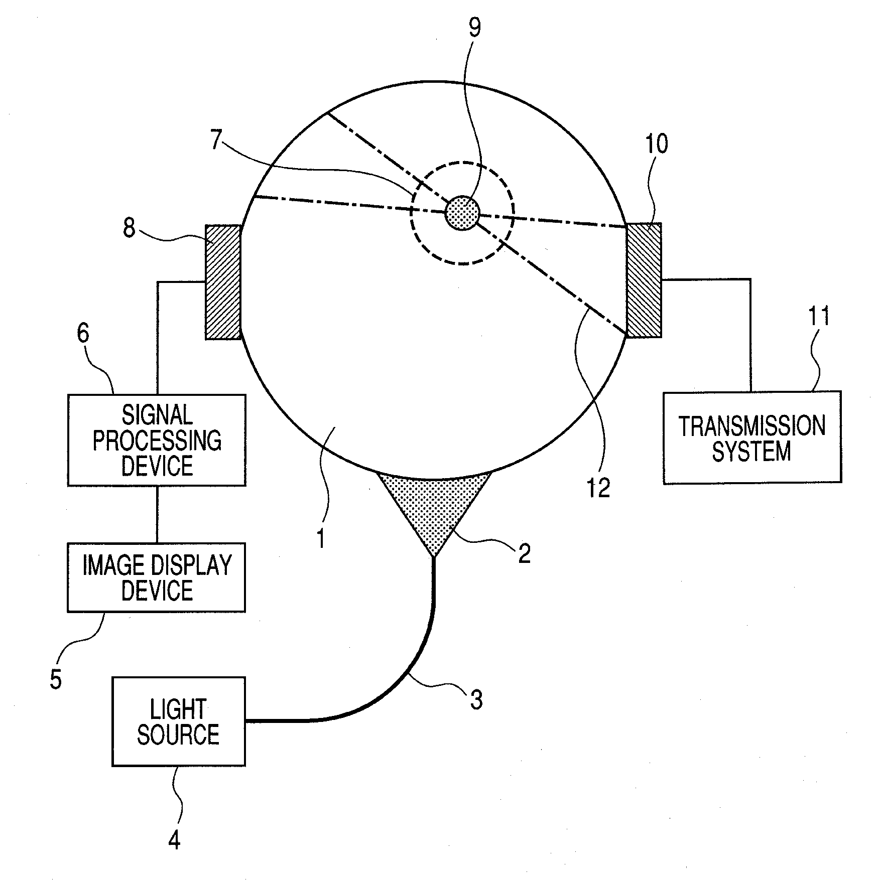 Biological information imaging apparatus and method for analyzing biological information