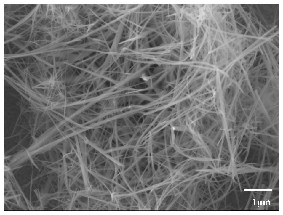 Macro preparation method of ultra-long Se nanowire