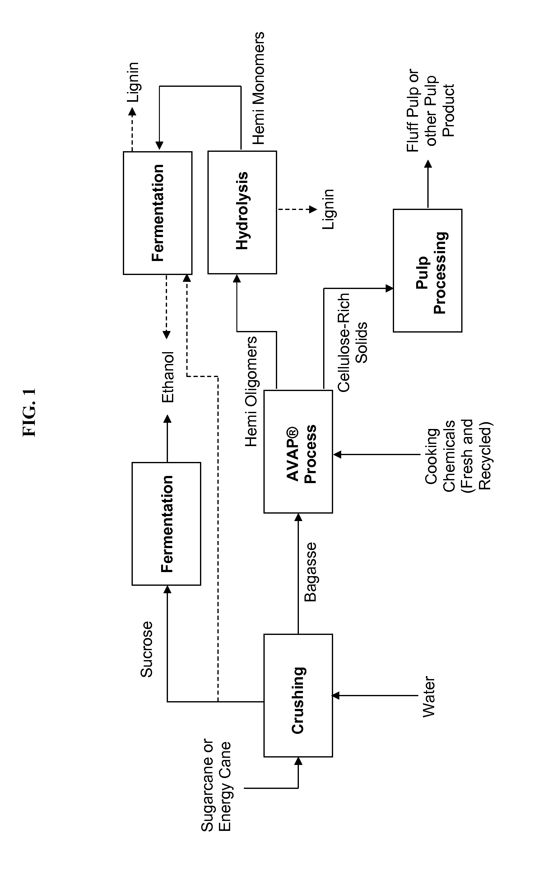 Processes for producing fluff pulp and ethanol from sugarcane