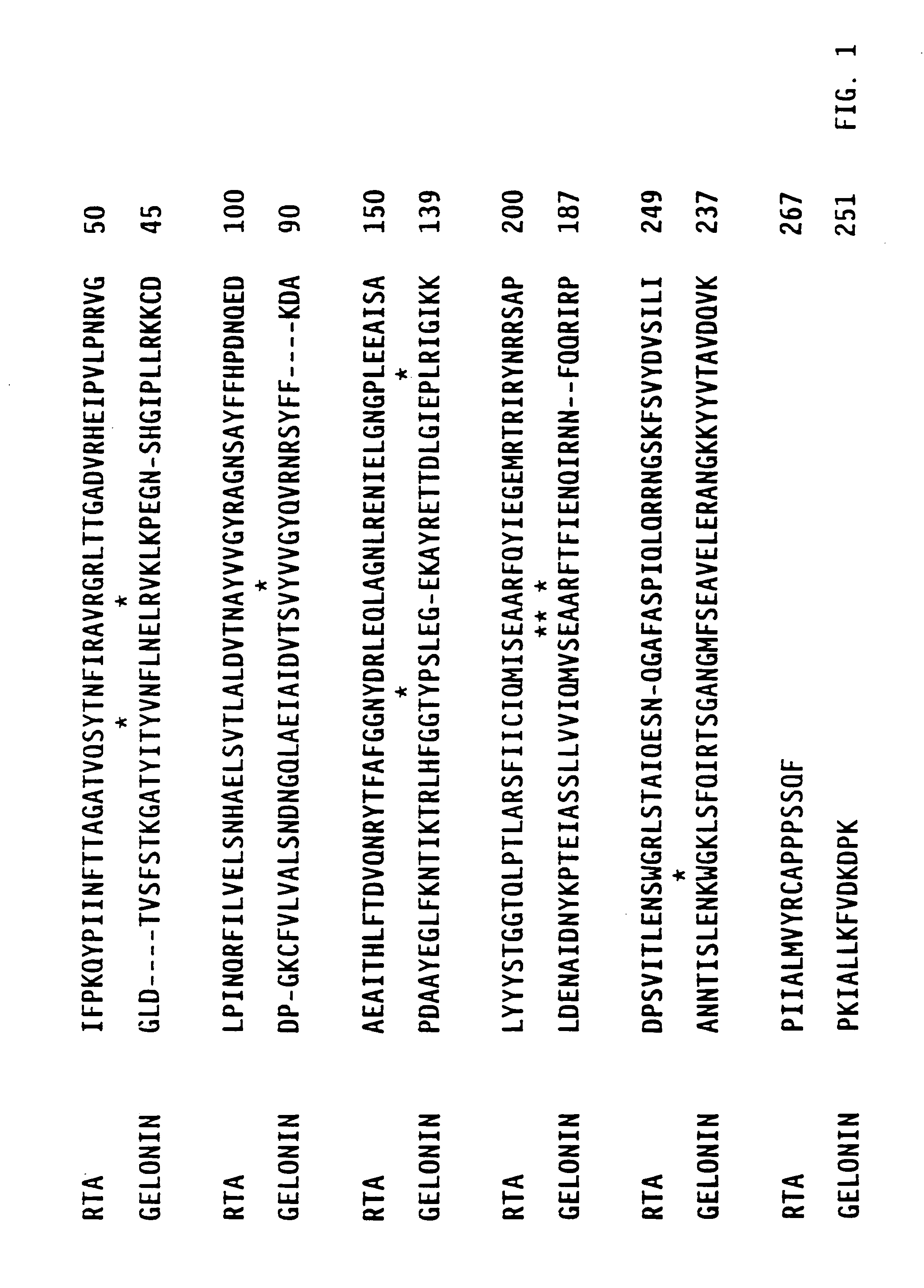 Immunotoxins comprising ribosome-inactivating proteins