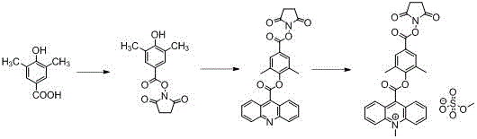 Synthesis of acridinium ester chemiluminescent substrate DMAE.NHS