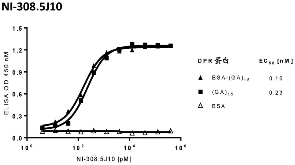 Human-derived Anti-(poly-ga) dipeptide repeat (DPR) antibody