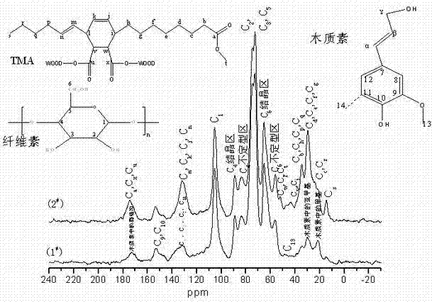 Method for manufacturing methyl malei-eleostearate anhydride modified wood fiber