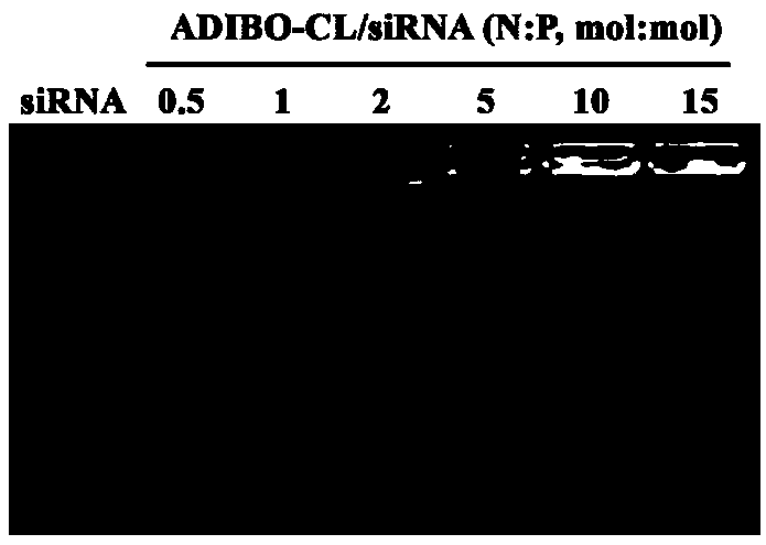 Modularly-assembled combined biological drug joint delivery system and application