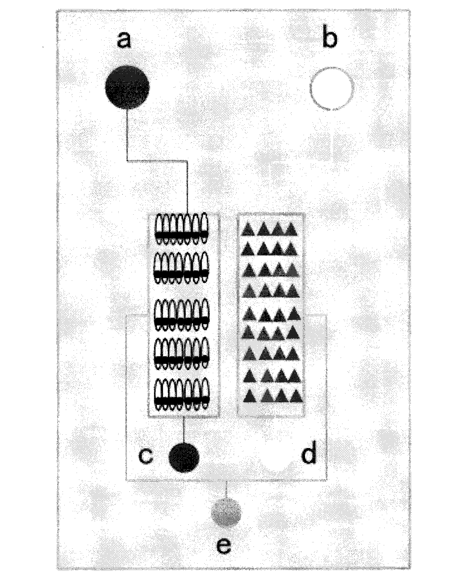 Micro-fluidic chip for high-efficiency medicine screening and preparation method of micro-fluidic chip