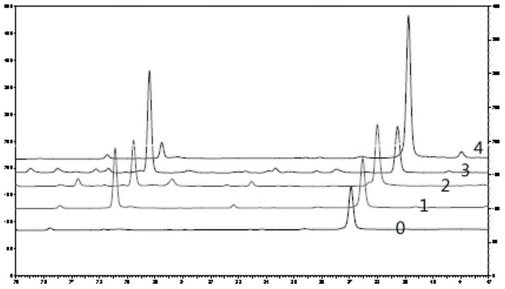 Genetically engineered bacterium used for biological catalysis of glucosidation of flavonoids