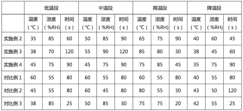 Polarizer preparation method