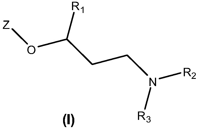 New quinoline and isoquinoline derivatives for treating pain and pain related conditions