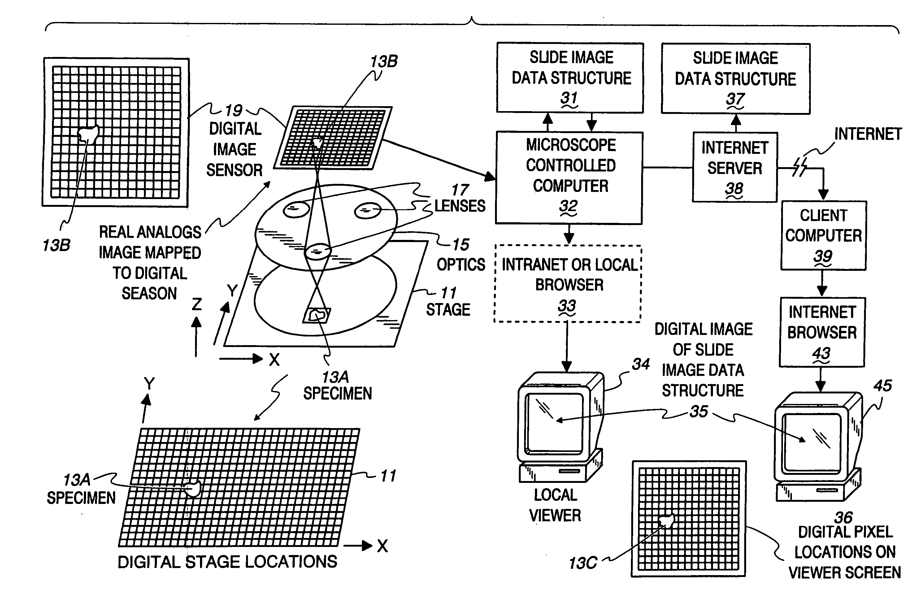 Method and apparatus for creating a virtual microscope slide
